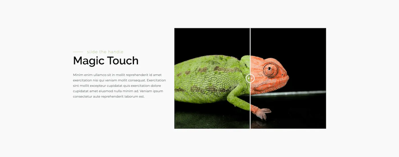 Image Compare Template 1