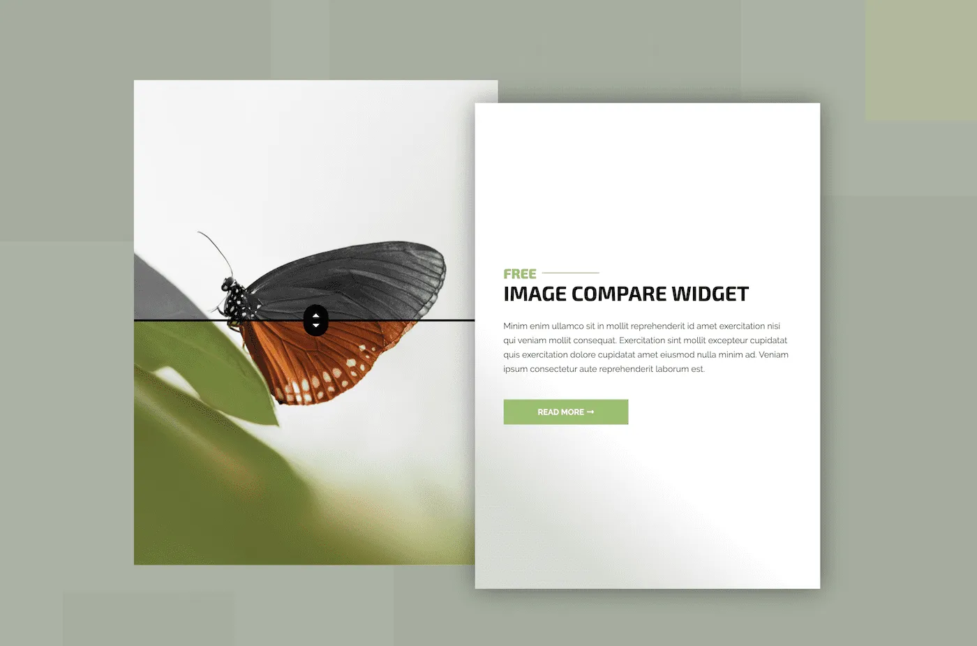 Image Compare Template 2
