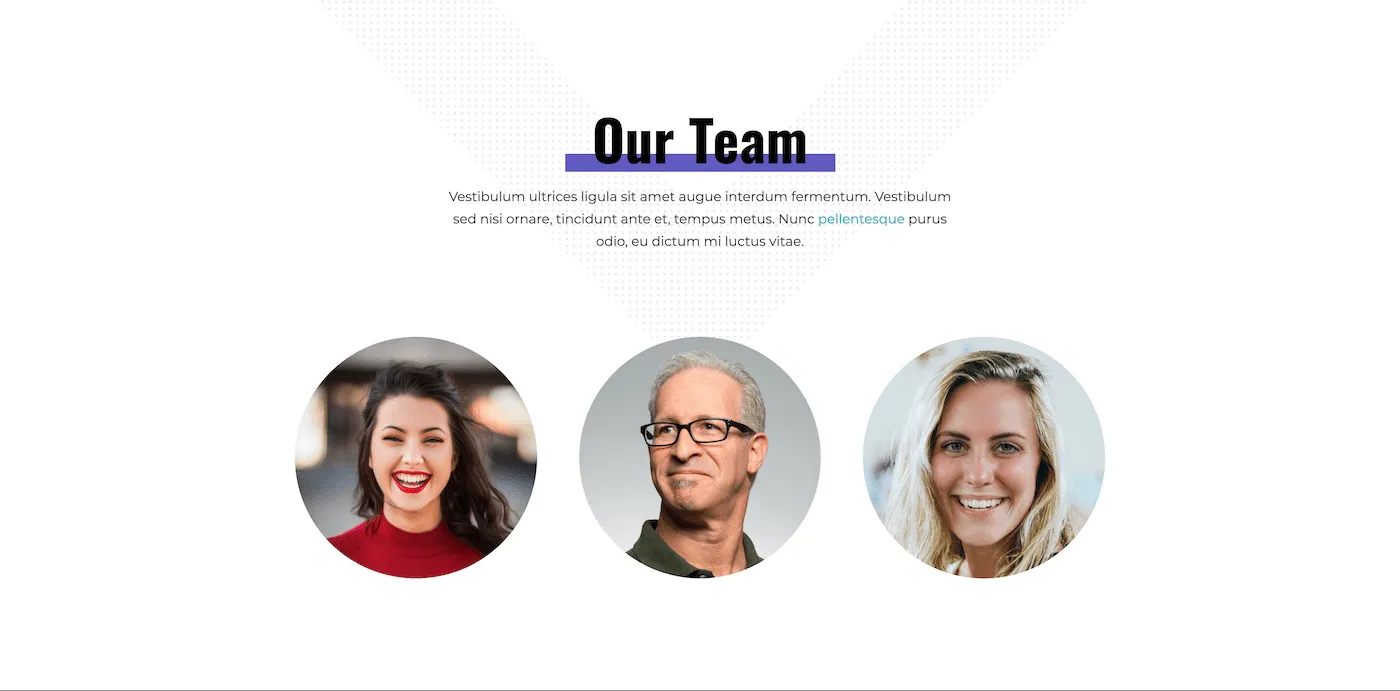 Team Member Template 1