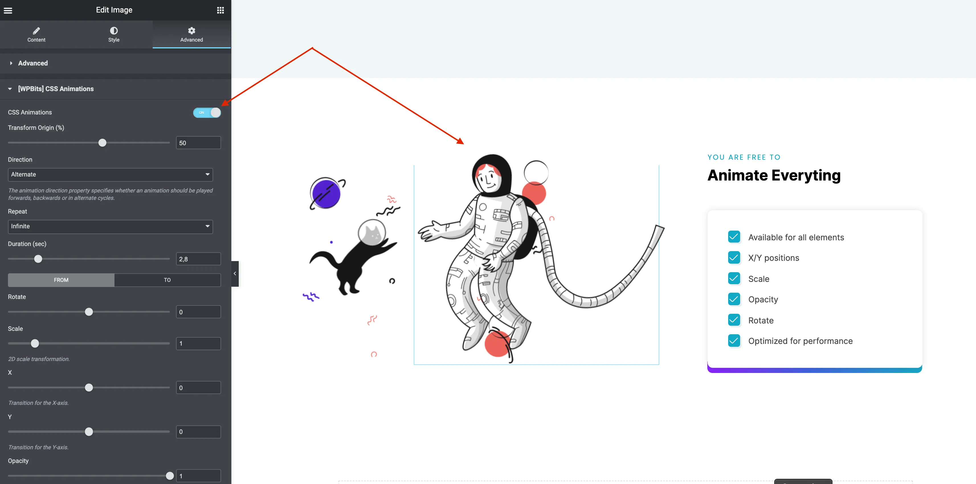CSS Animations