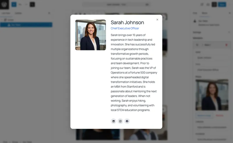 Team member profile modal details