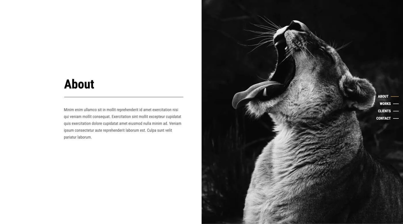 One Page Nav Template 1